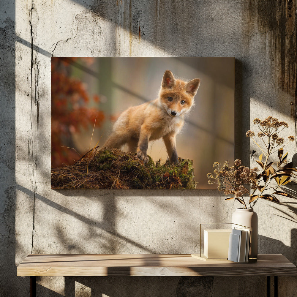 Vos | Canvas