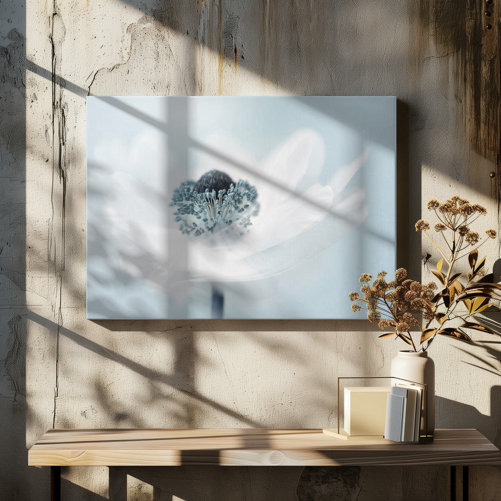 Suikerspin | Canvas