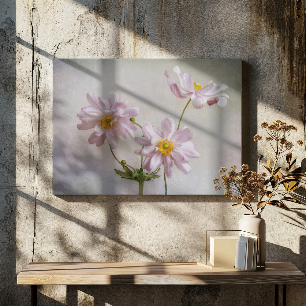 Anemonen | Canvas