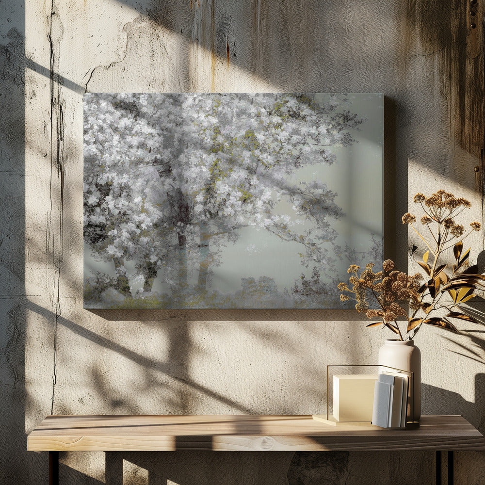 Lente | Canvas