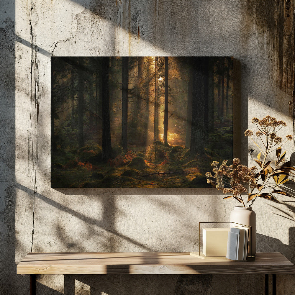 Het licht in het bos | Canvas