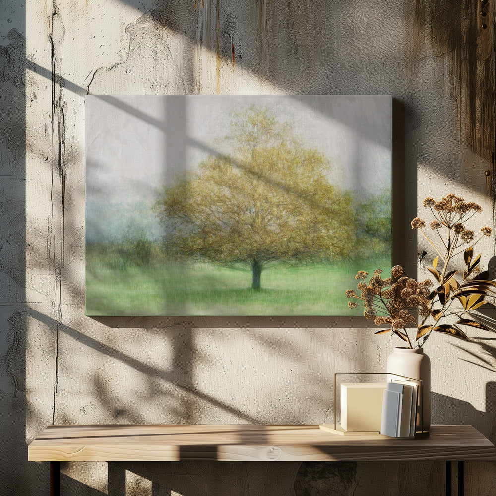 Solitaire | Canvas