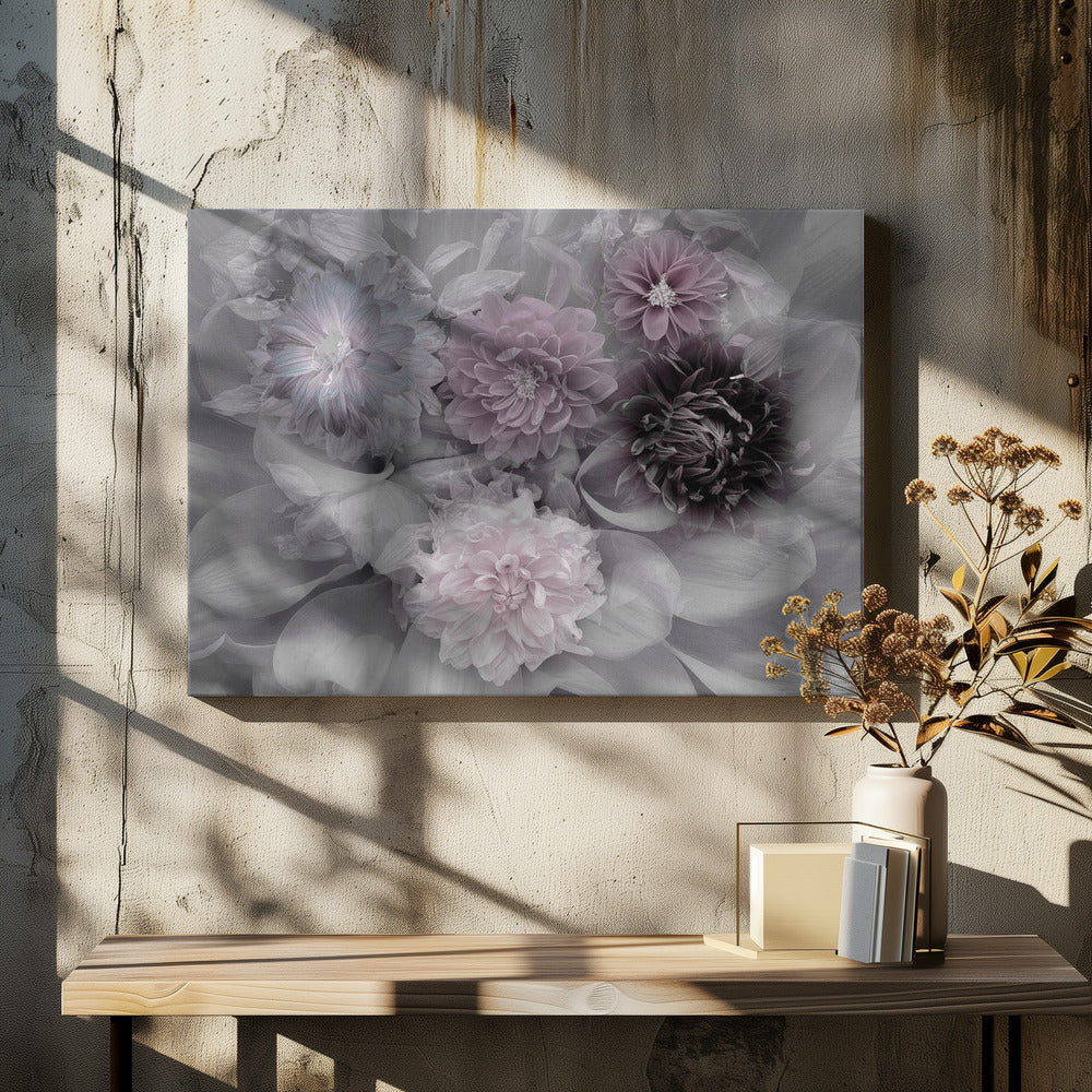 Dahlia droom | Canvas