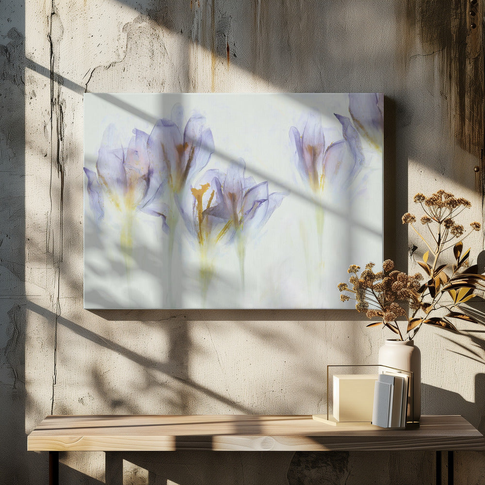 Lente | Canvas