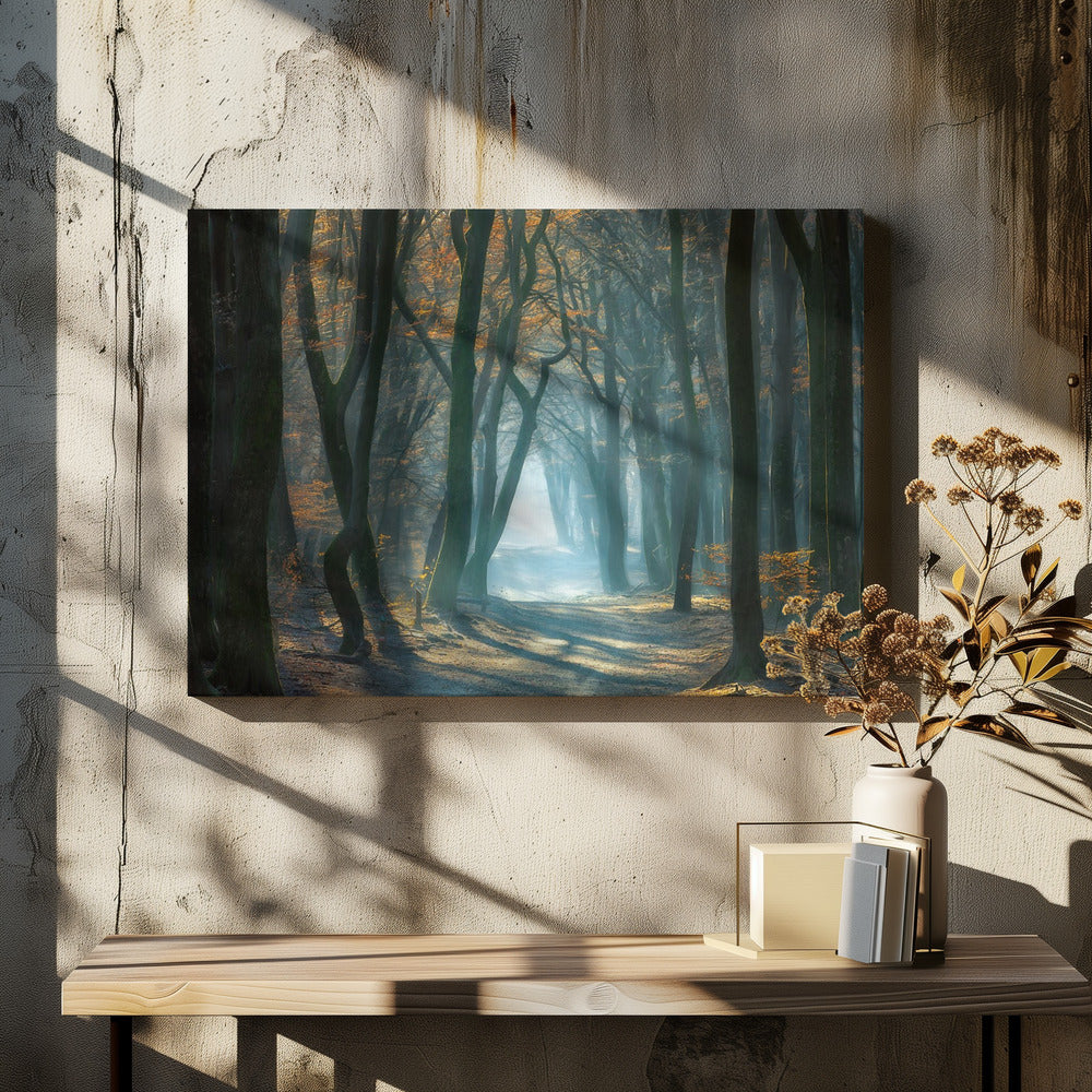 Koud licht | Canvas