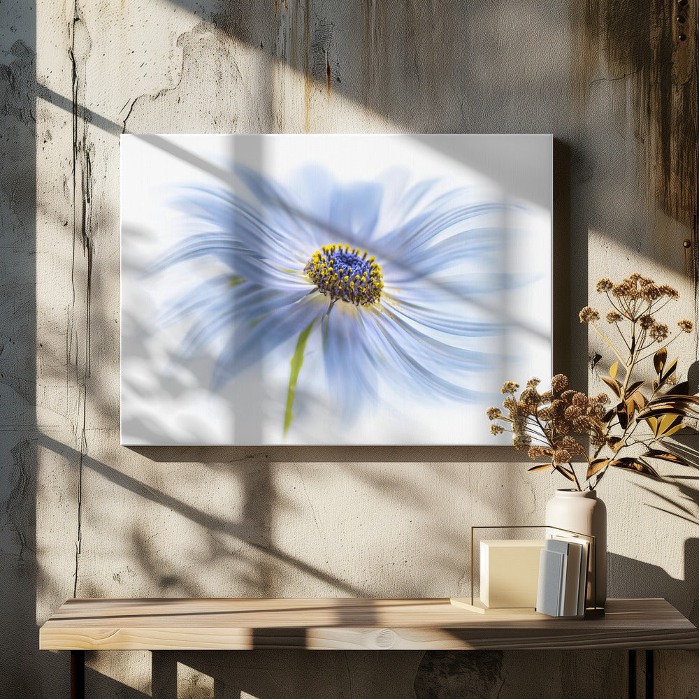 Madeliefjesgenot | Canvas