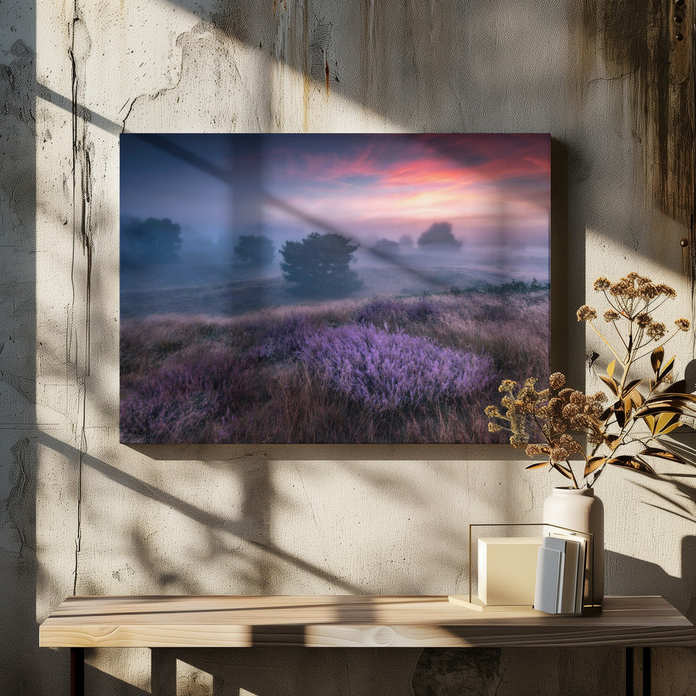 "de kleuren van heide" | Canvas