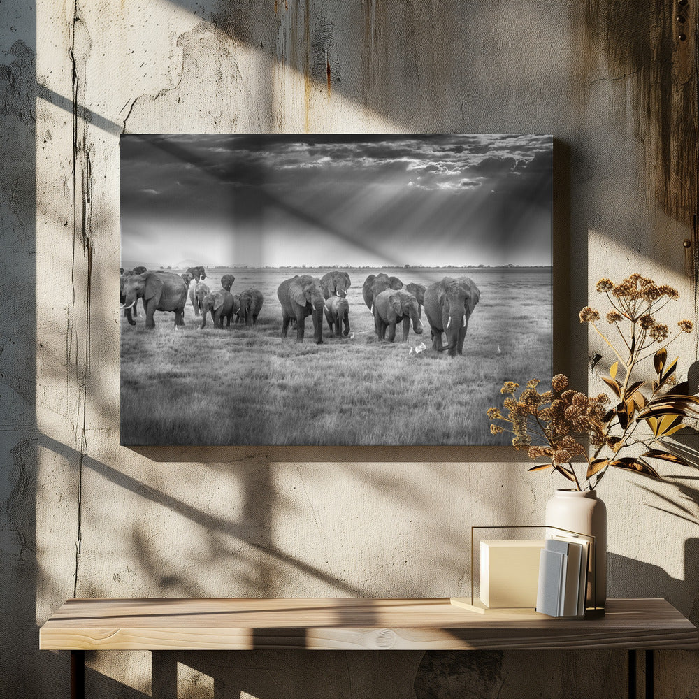 Ontbijt met dikhuiden | Canvas