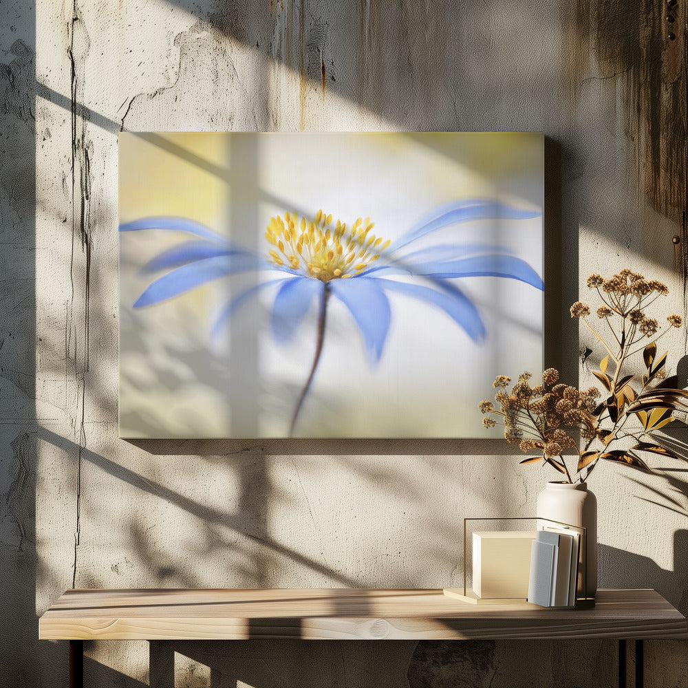 Anemoon | Canvas