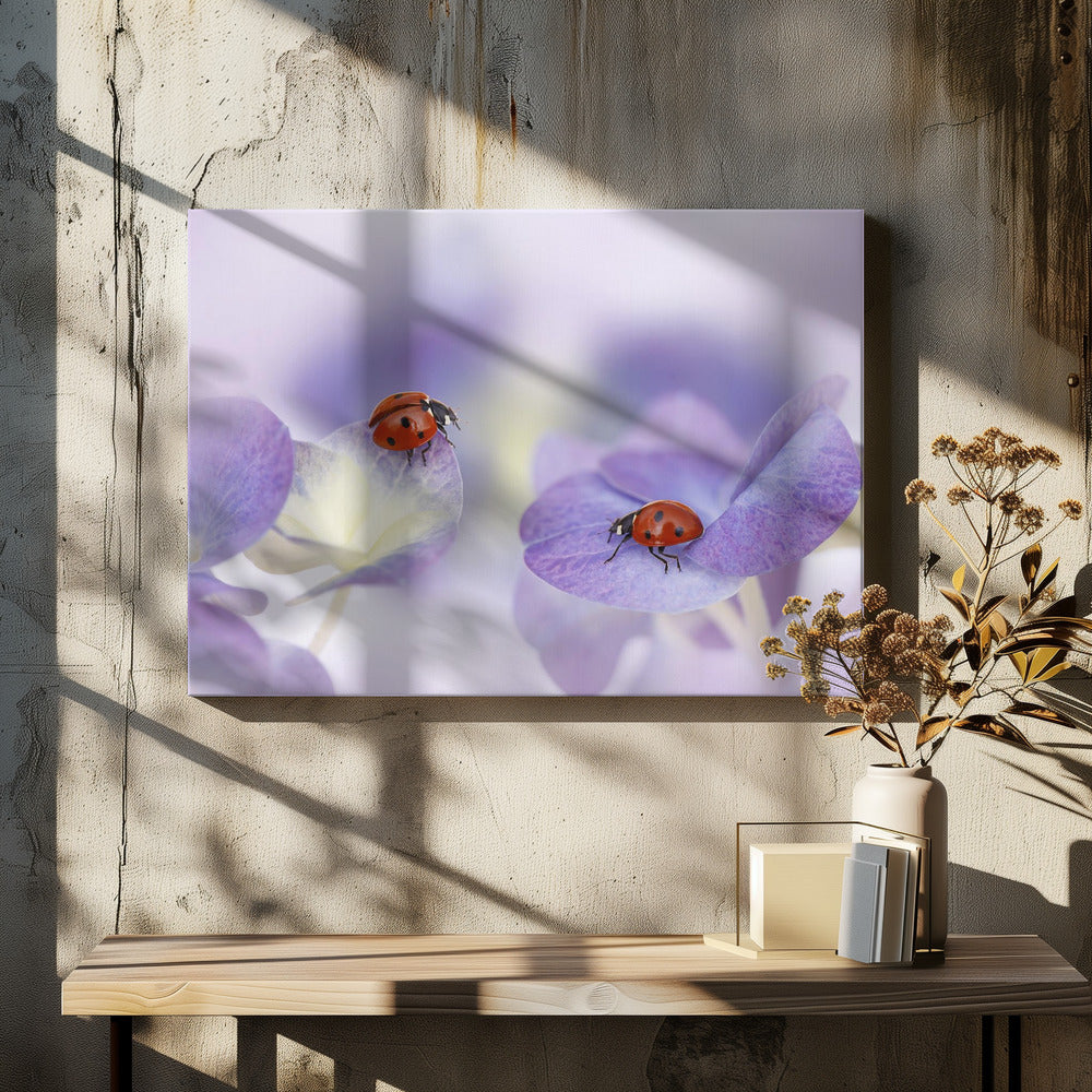 Rood en paars | Canvas