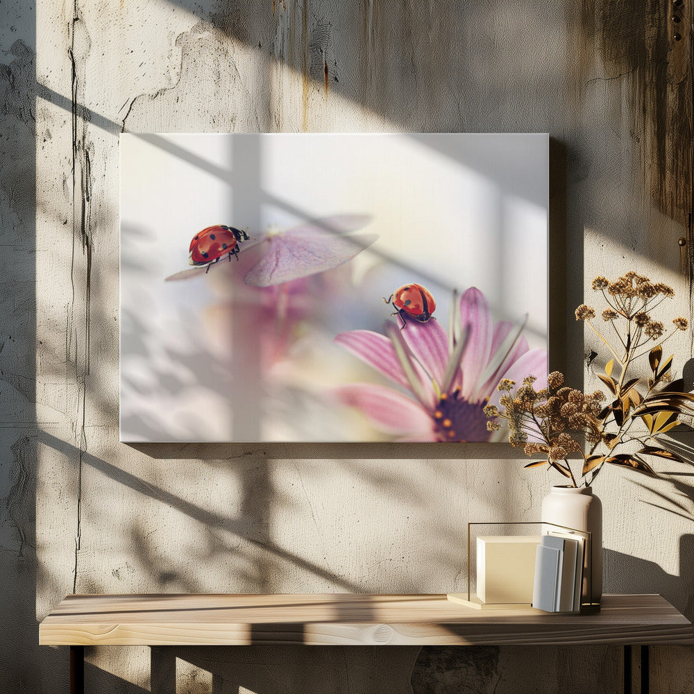 Laatste zomerdagen | Canvas