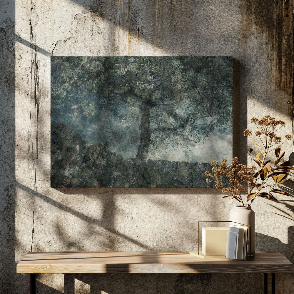 Rotsen en een boom | Canvas