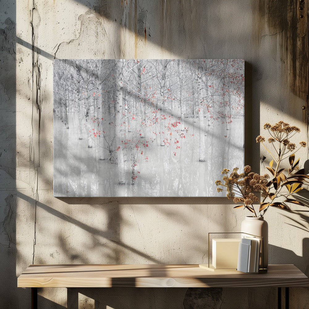 Red &amp; white | Canvas
