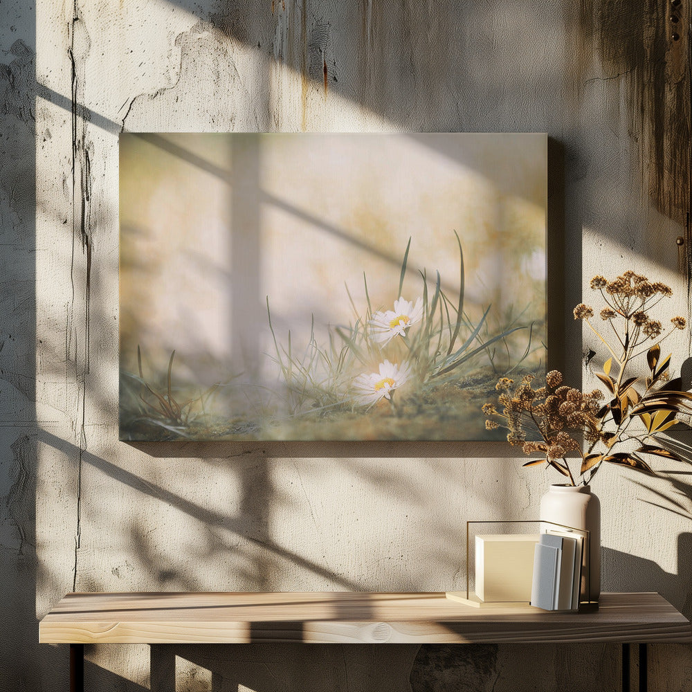 Zonder titel | Canvas
