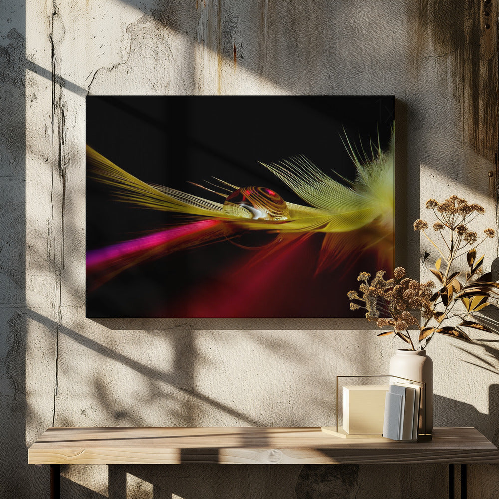 Colors in the drop | Canvas