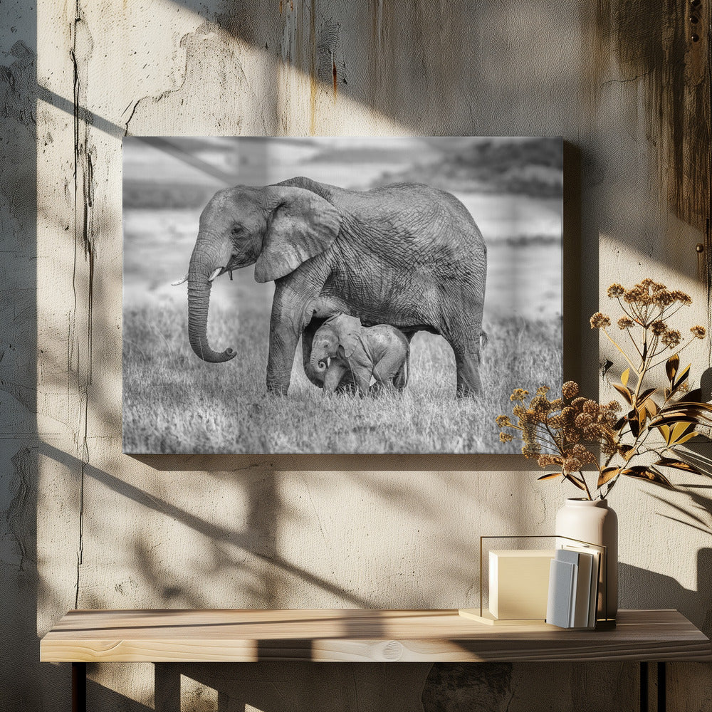 Dichtbij en beschermd blijven | Canvas