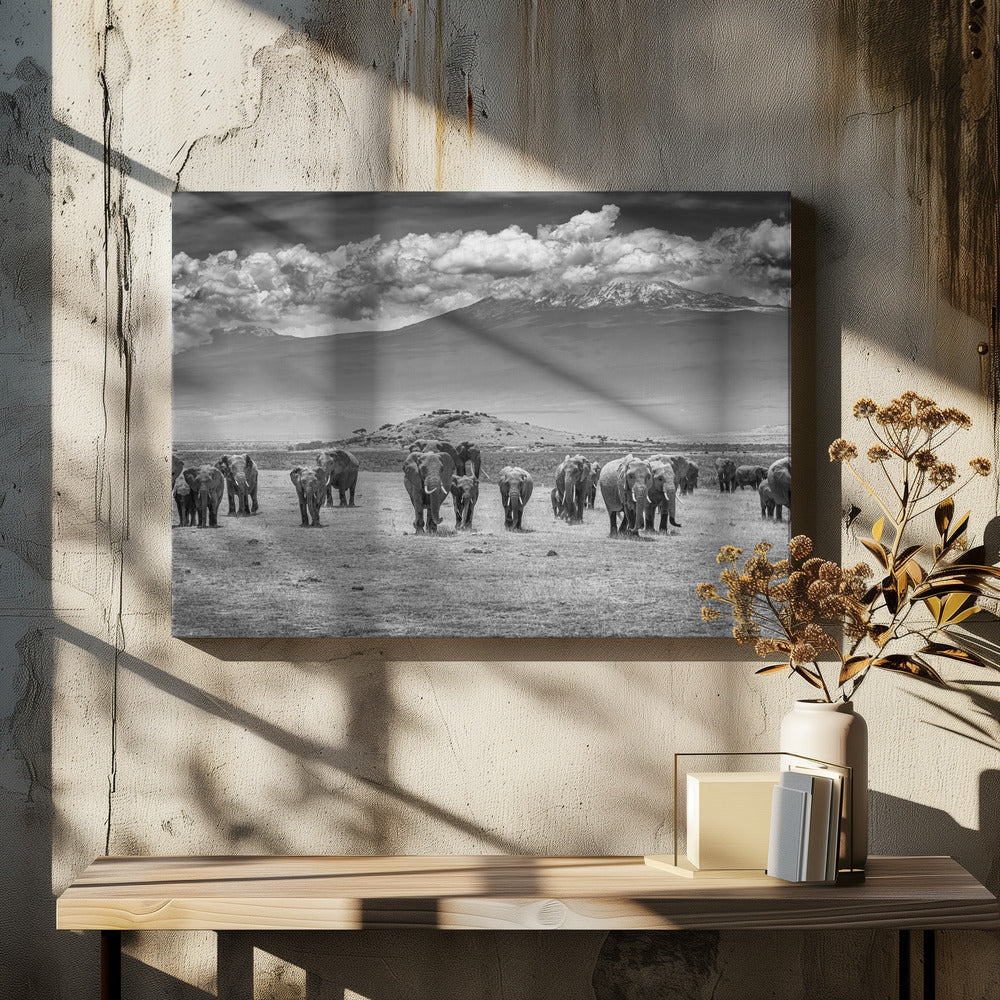 De Titanen | Canvas