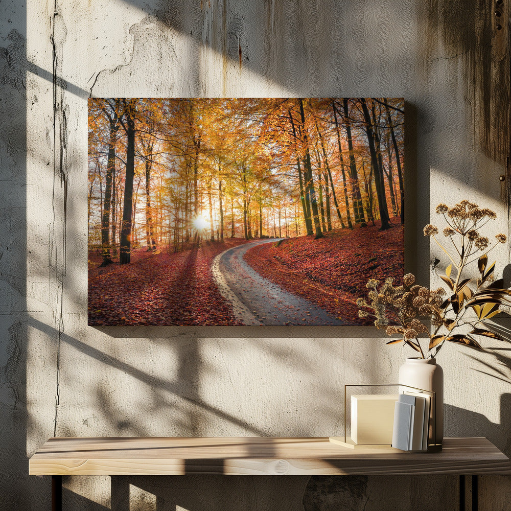 Weg in nationaal park Söderåsen, Zweden | Canvas