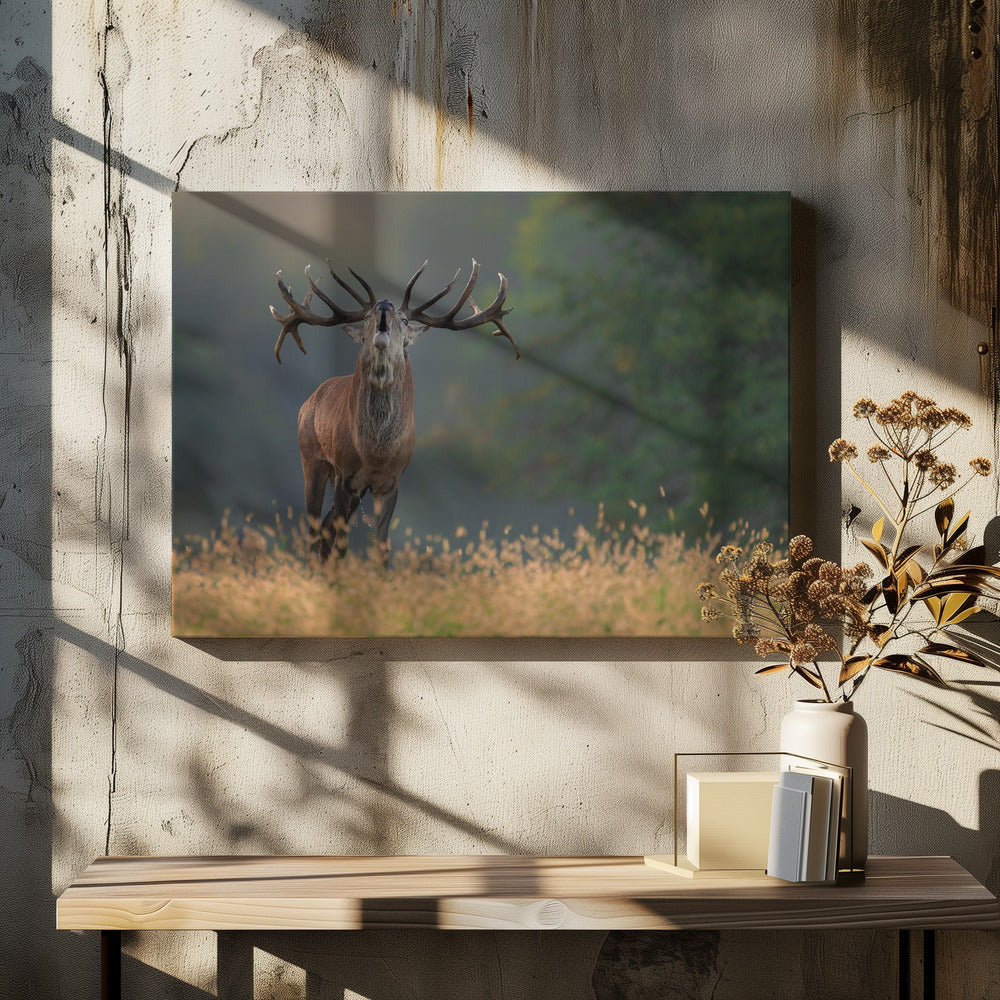 Hertenhuwelijkslied | Canvas