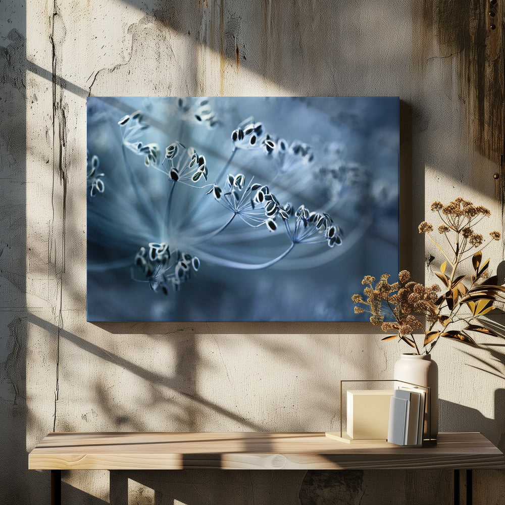 Dille | Canvas