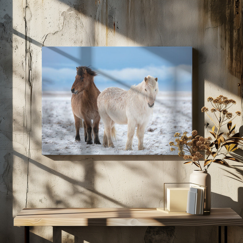 BROERS | Canvas