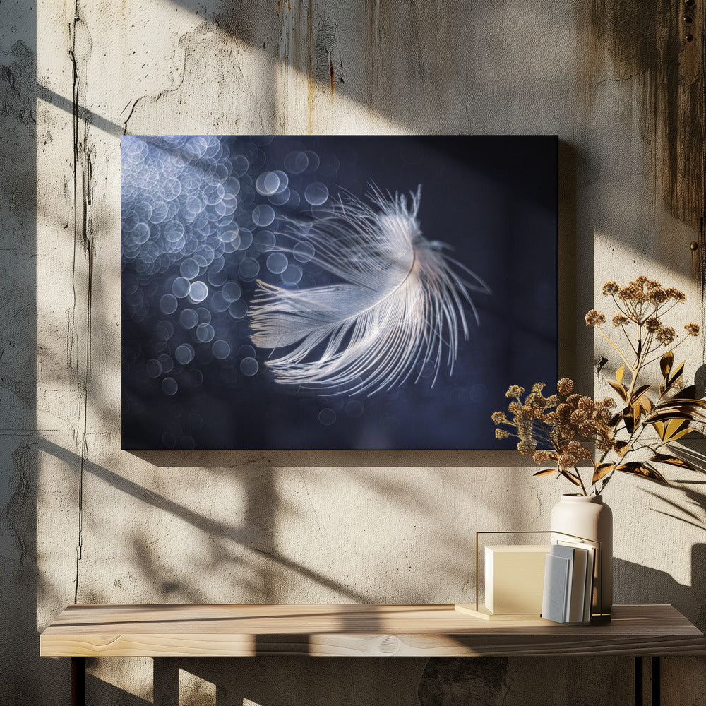 Placiditeit | Canvas