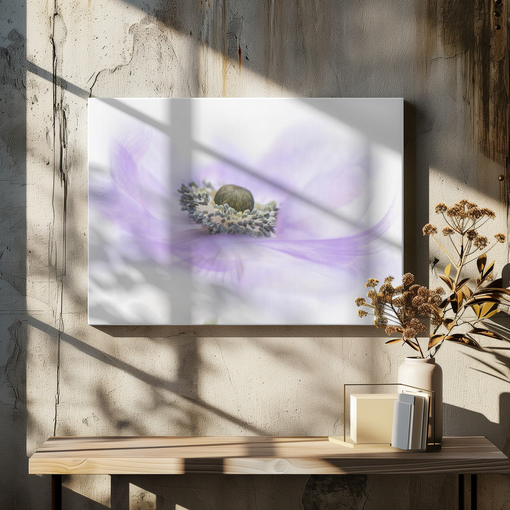 Fluister | Canvas