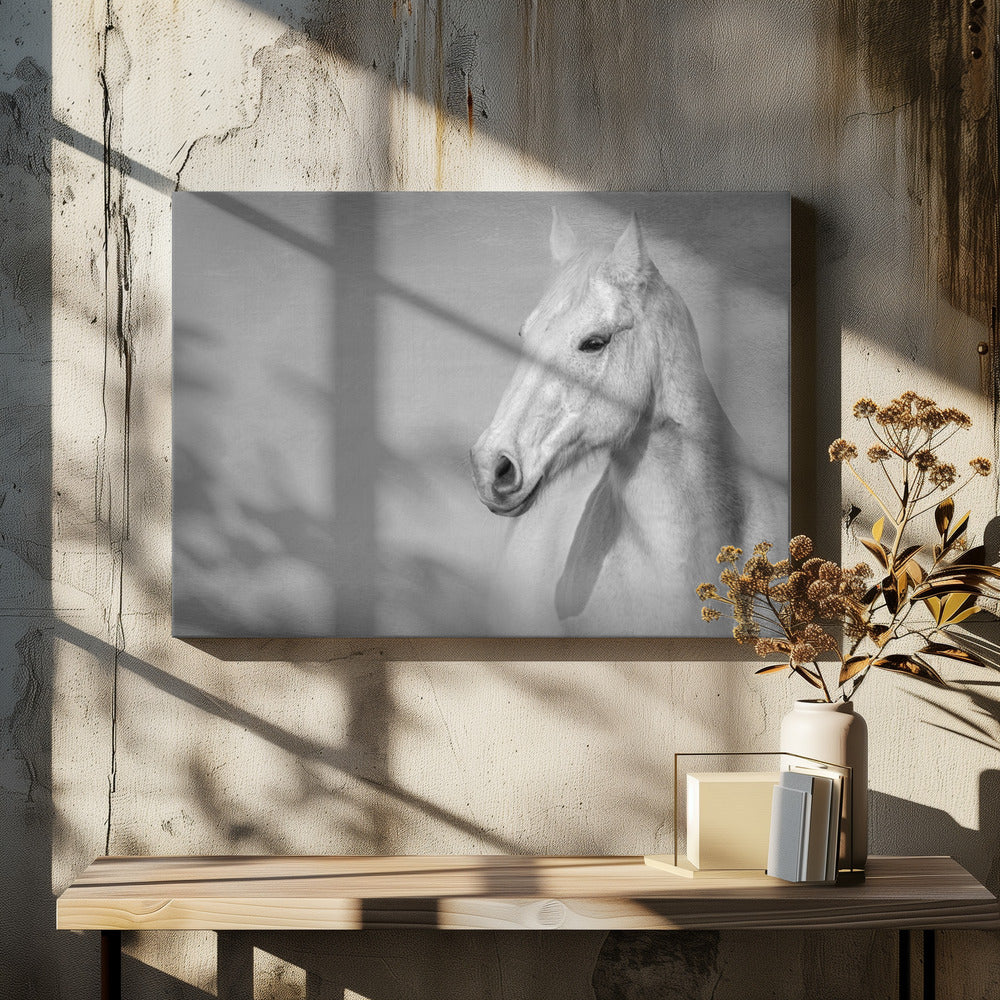 Het grijze paard | Canvas
