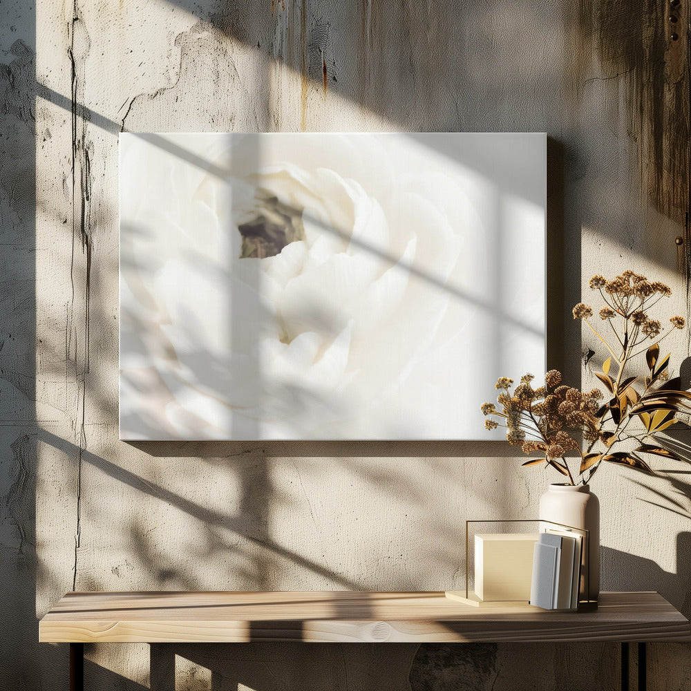 Witte Bloem 02 | Canvas