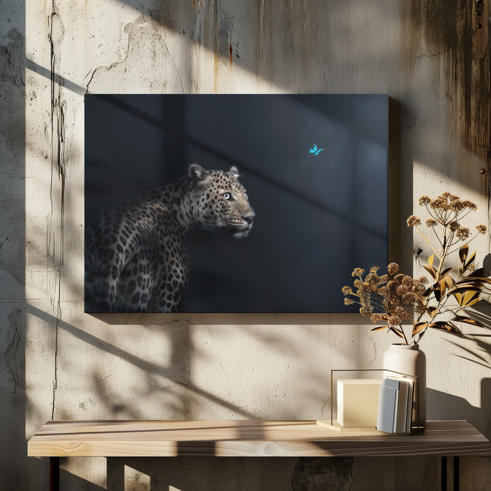 Verbeelding | Canvas