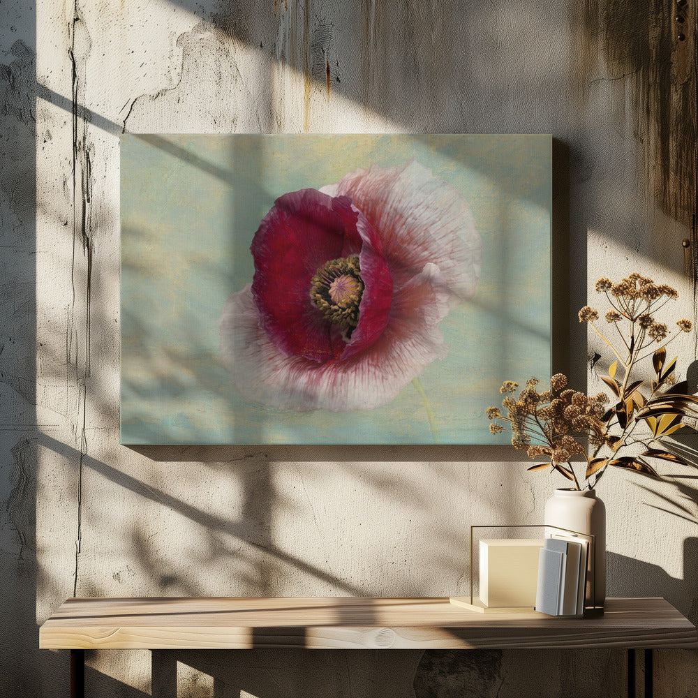 Bourgondische Bonnet | Canvas