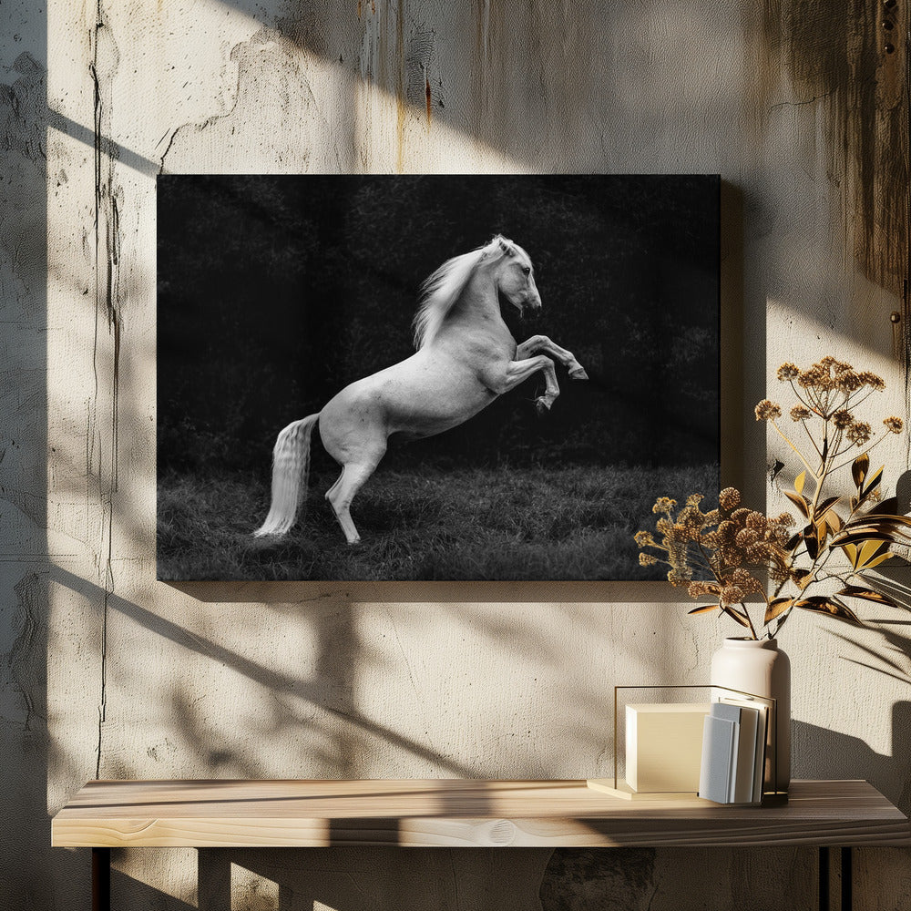 een kort verhaal over een grassprietje in een hoef | Canvas