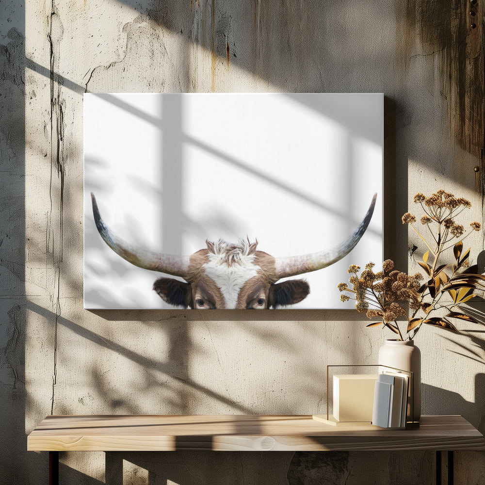 Glurende Longhornkoe | Canvas