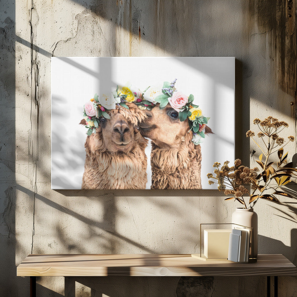 Boho Alpaca's | Canvas