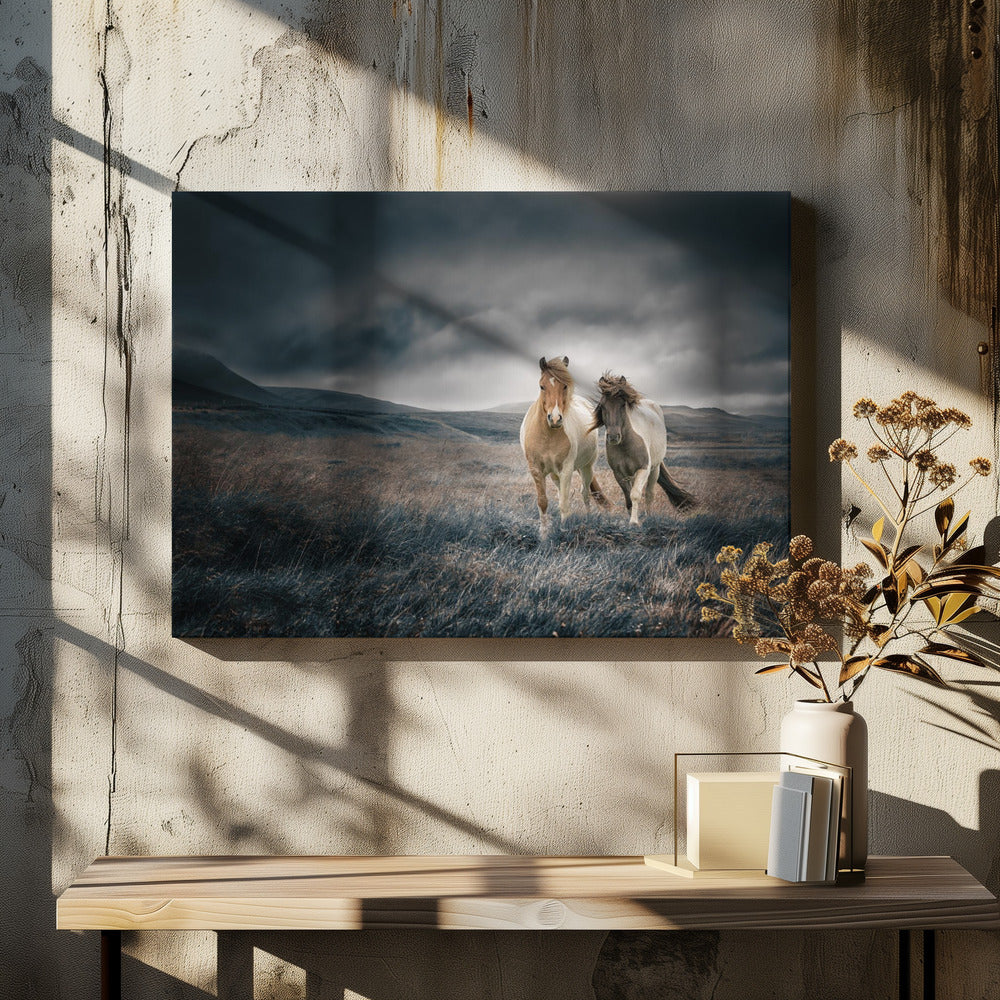 De broers | Canvas