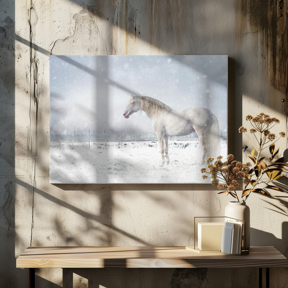 Laat het sneeuwen... | Canvas