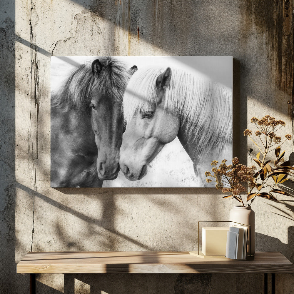 Paardenliefde | Canvas