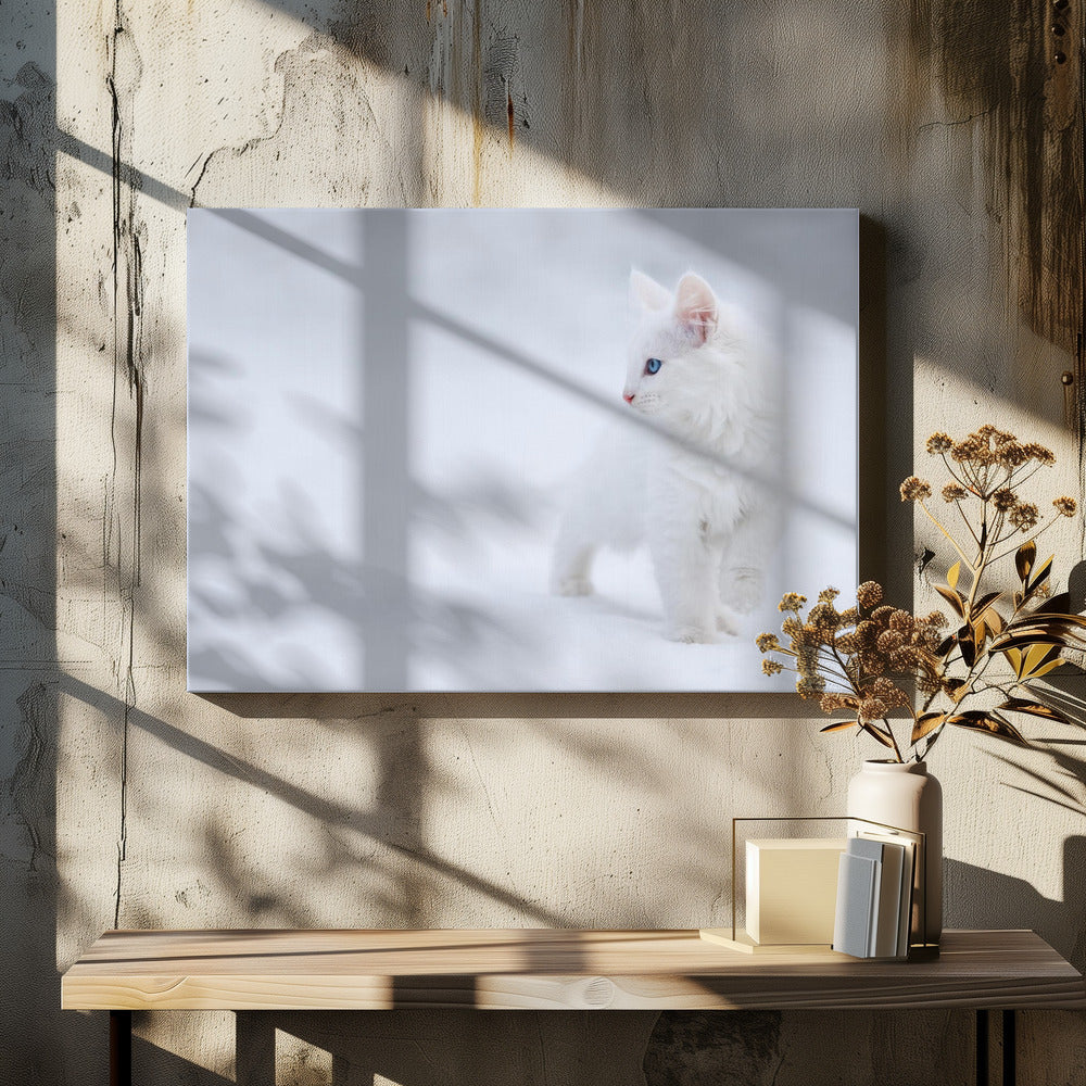 Wit als sneeuw | Canvas