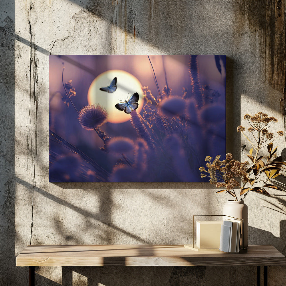 Geloof dat je kunt vliegen | Canvas