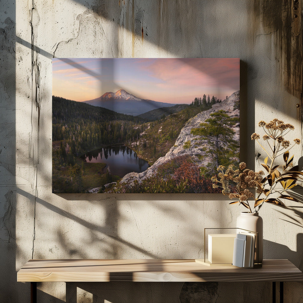 Hartmeer | Canvas