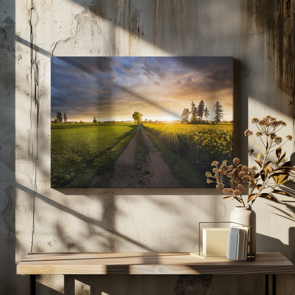 Zomerweide | Canvas