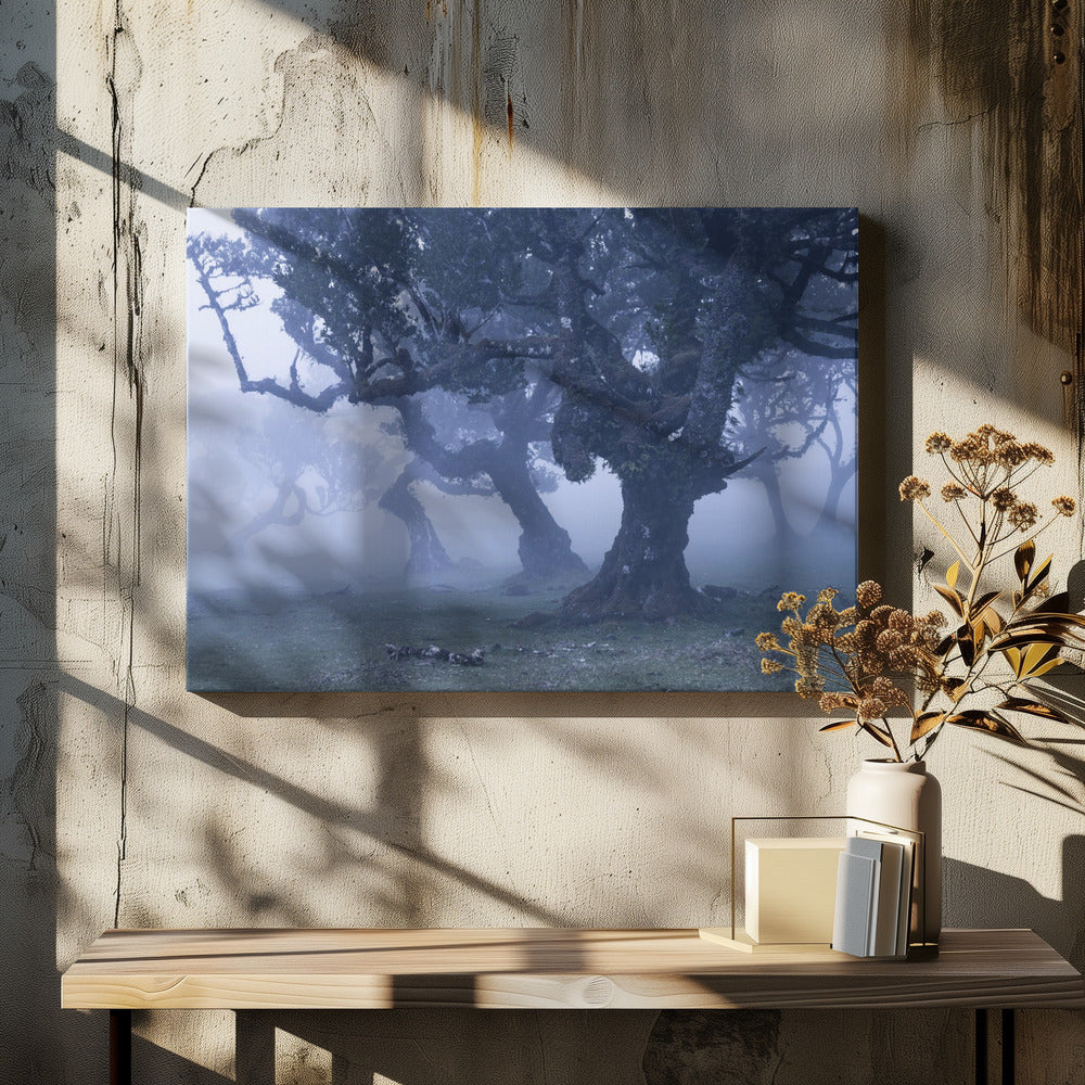 Blauwe bossen | Canvas