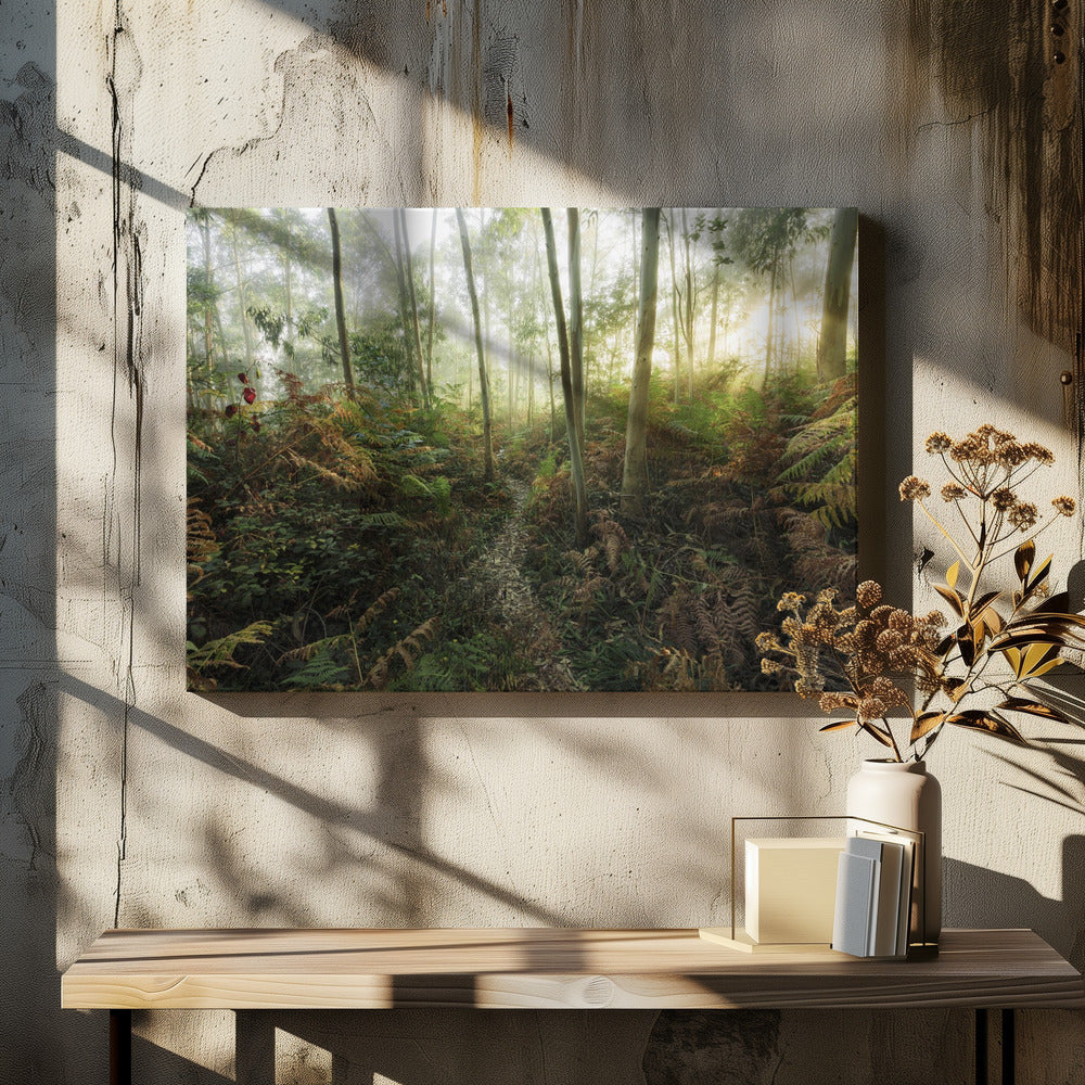 Mistige bossen II | Canvas