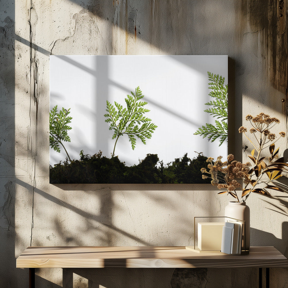Varendetail | Canvas