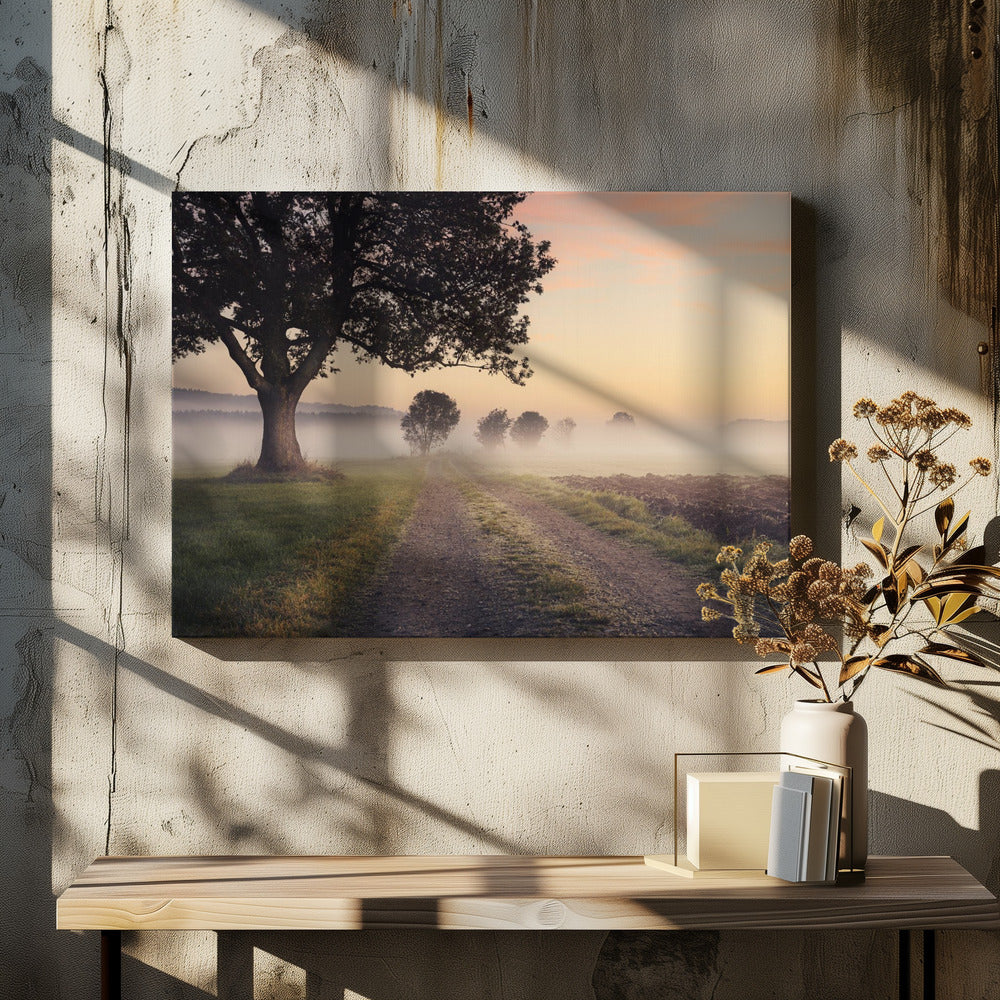 Mystic Path | Canvas