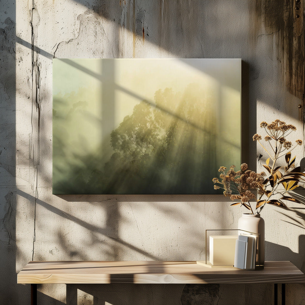 Foggy Woods III | Canvas