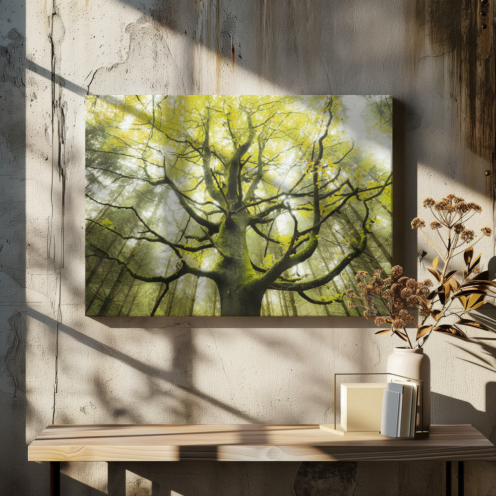 The Dream Tree | Canvas