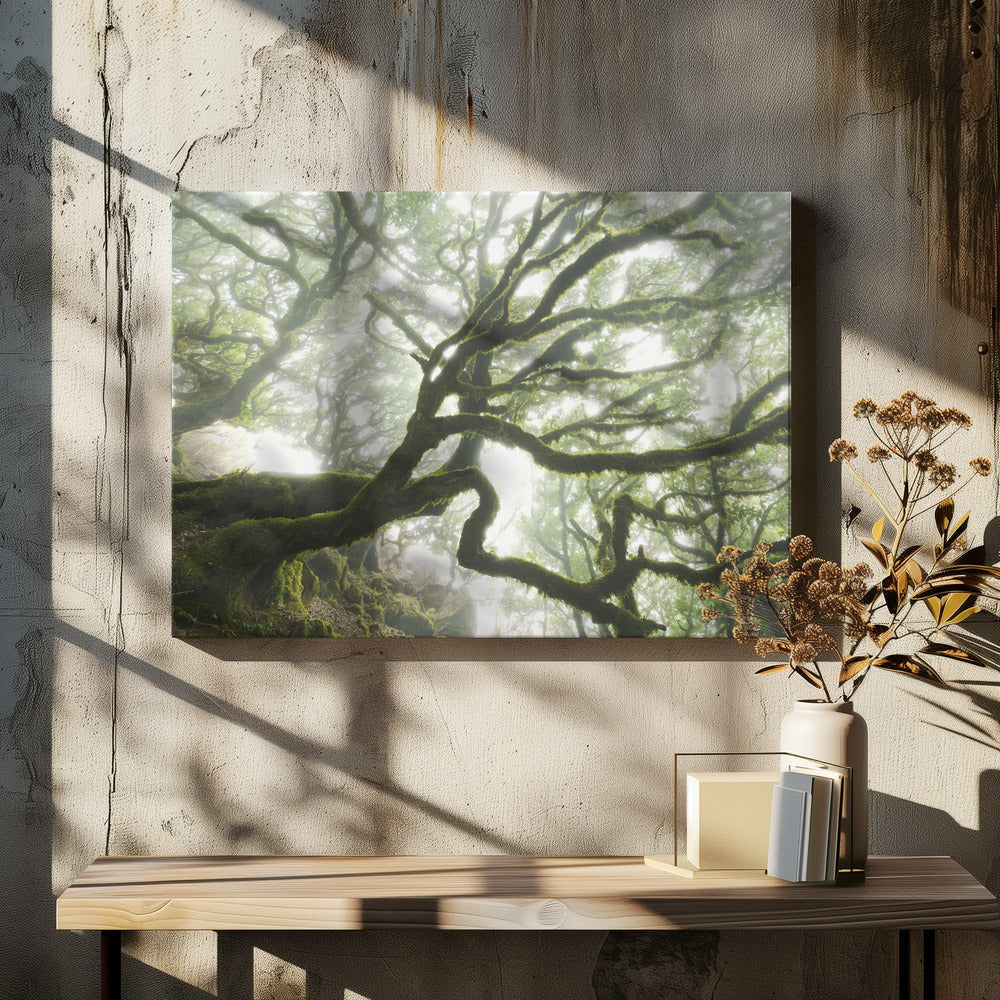 Magic Moment | Canvas