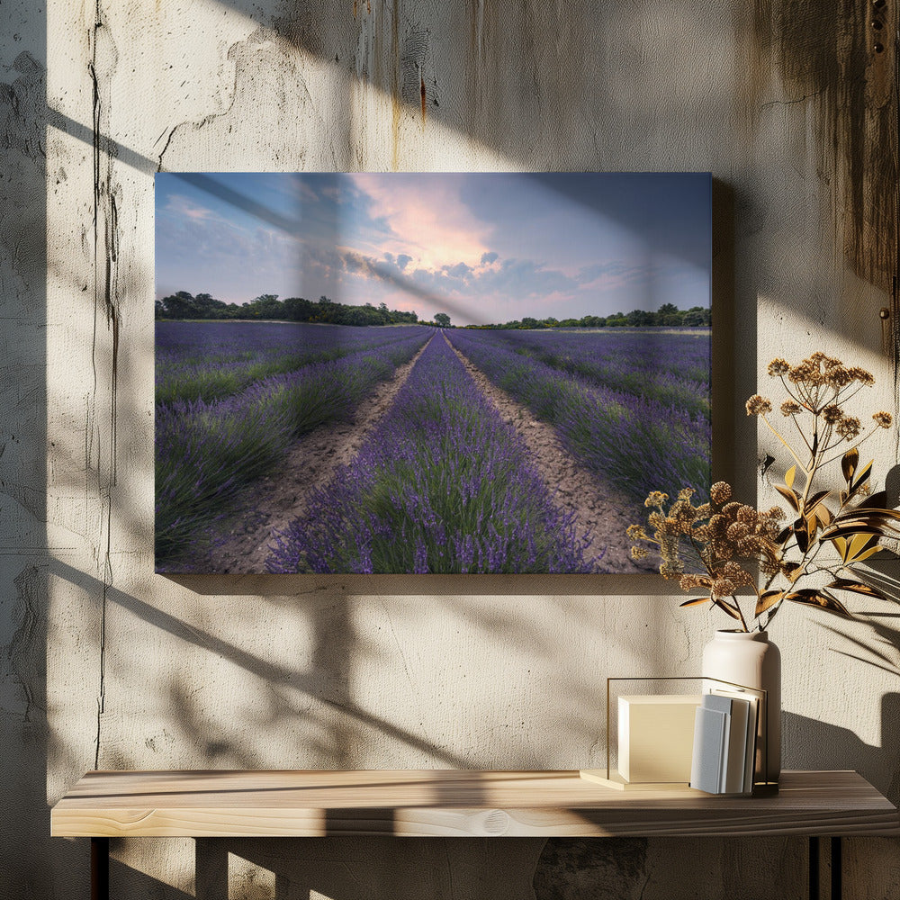 Blauwe Lavendel | Canvas