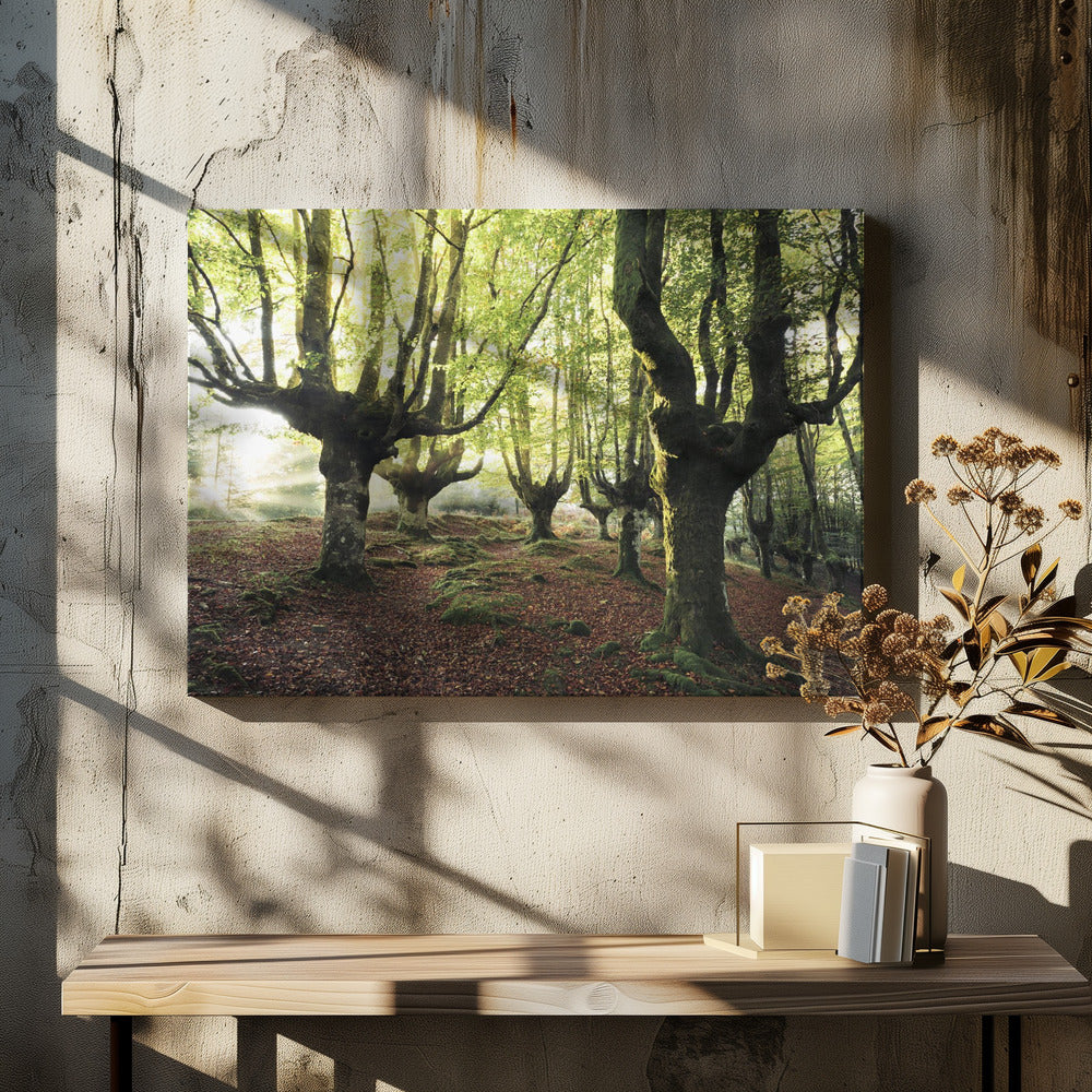 Magisch Bos | Canvas